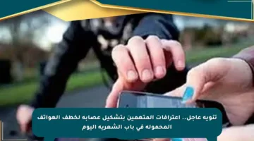 تنويه عاجل.. اعترافات المتهمين بتشكيل عصابة لخطف الهواتف المحمولة في باب الشعرية اليوم